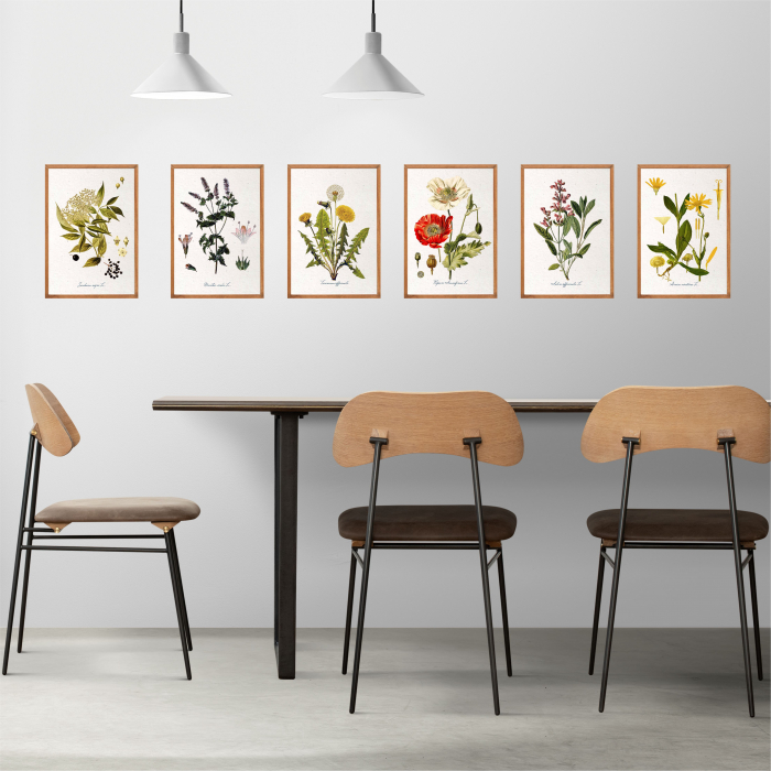 Soc, desen botanic clasic, ilustratie vintage [5]