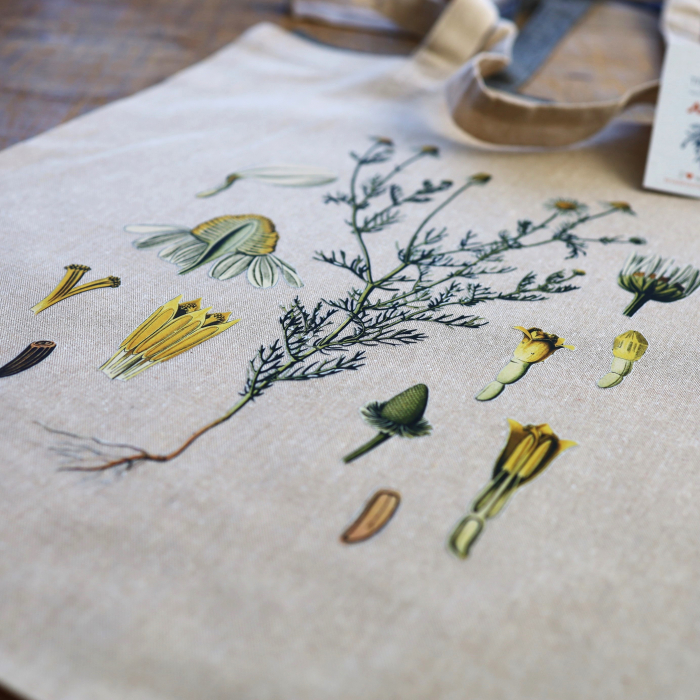 Sacosa bumbac reciclat | Musetel | Anais [2]