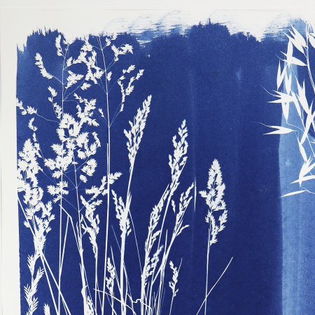Cyanotype art, Read the Grass [3]