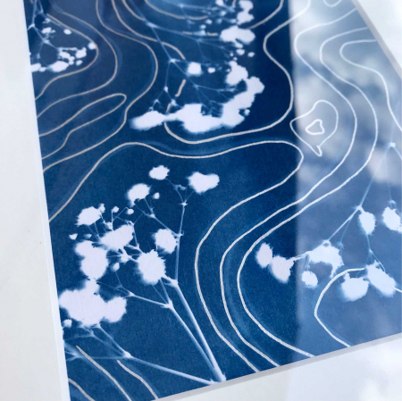 Cyanotype art, Top view of the soul [3]