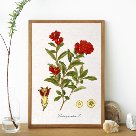 desen botanic vintage [1]