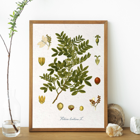 desen botanic vintage [1]