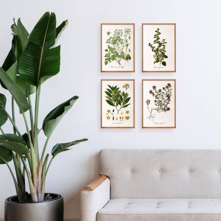 patrunjel desen botanic vintage [4]