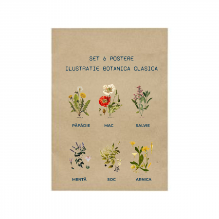 Set 6 postere, Papadie, Menta, Mac, Soc, Salvia, Arnica [8]