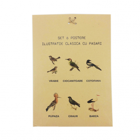 Set 6 postere cu Pasari, Vrabia, Ciocanitoarea, Pupaza, Cotofana, Graurul si Barza [9]