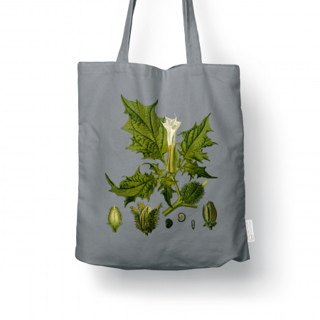 Sacose ilustratie botanica vintage - Sacosa bumbac reciclat |Ciumafaie | Anais