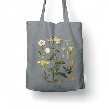 Sacose ilustratie botanica vintage - Sacosa bumbac reciclat | Coada Soricelului | Anais