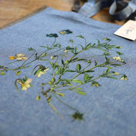 Sacosa bumbac reciclat | Trei frati patati | Anais [1]