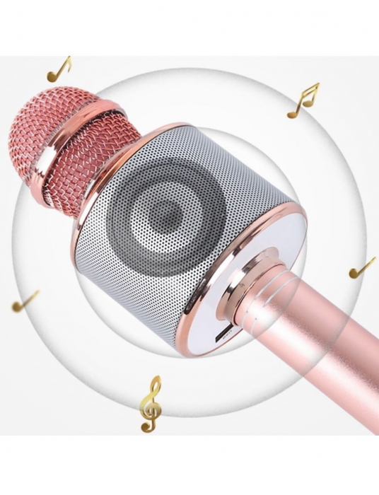 Microfon Portabil cu Acumulator si boxa incorporata - Conexiune wireless bluetooth [2]