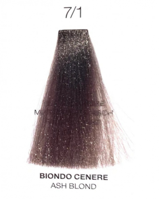 Vopsea fara Amoniac - ITALIA Professional Purity 100 ml - ASH BLOND 7/1 [2]