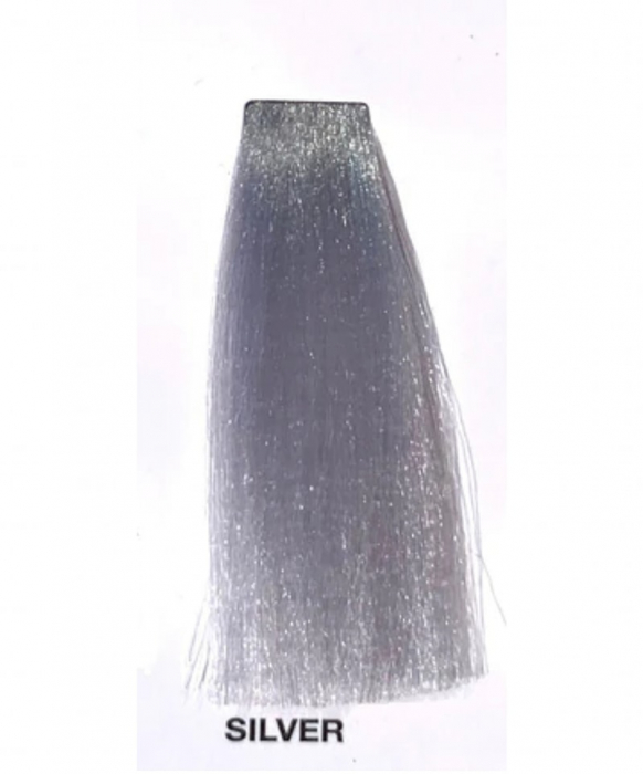 Vopsea fara Amoniac - ITALIA Professional Purity 100 ml - SILVER [2]