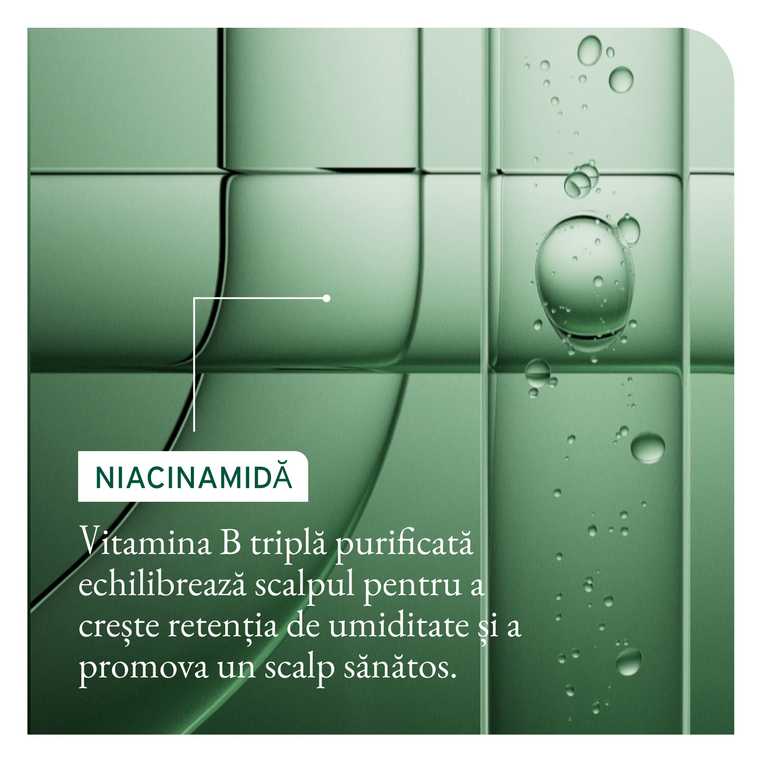 Ser Biolage  Full Rescue Invigorating Scalp Serum- pentru prevenirea căderii părului, cu ulei de rozmarin și niacinamide – 50ml [5]