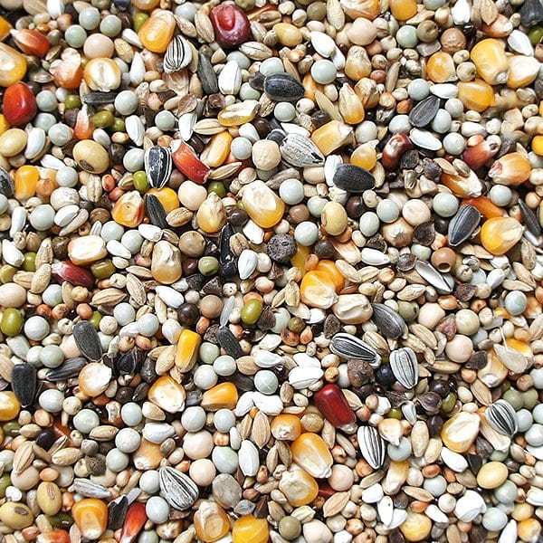 Flornas Champion Turbo 20 kg [2]