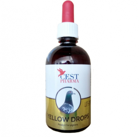 Tricomonoza si coccidioza - Yellow Drops CEST 100ml