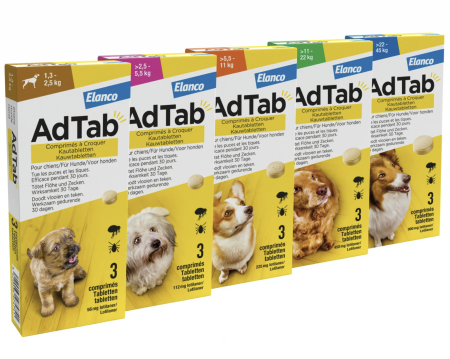 Antiparazitare - ADTAB, deparazitare externă câini, comprimate masticabile, 1buc