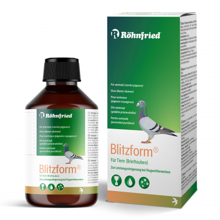 Intretinere - Blitzform 250 ml