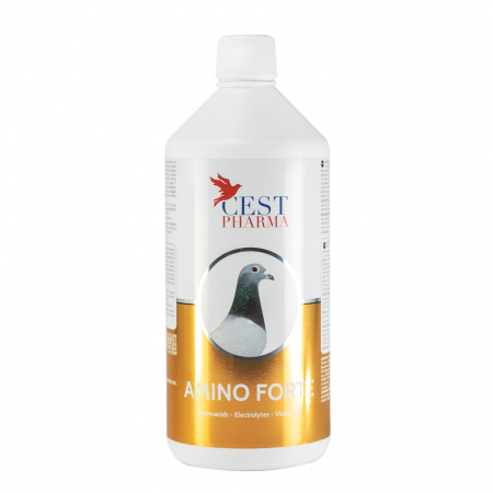 Electroliti si recuperatori - Amino Forte Cest 1L