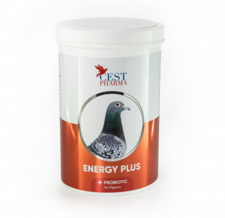 Intretinere - Energy Plus 600g