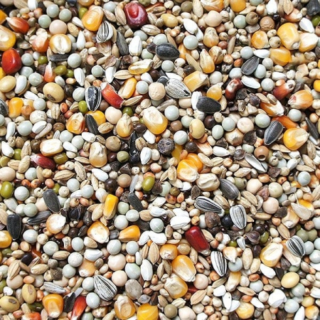 Flornas Champion Turbo 20 kg [1]
