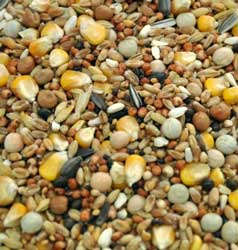 Flornas Concurs 20 kg [1]