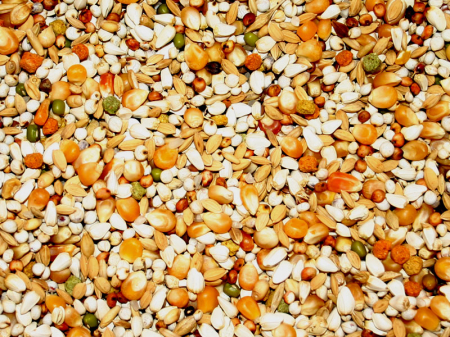 Flornas Concurs Exclusiv 20 kg [1]