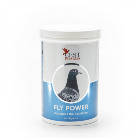 Energie - Fly Power 600g Cest