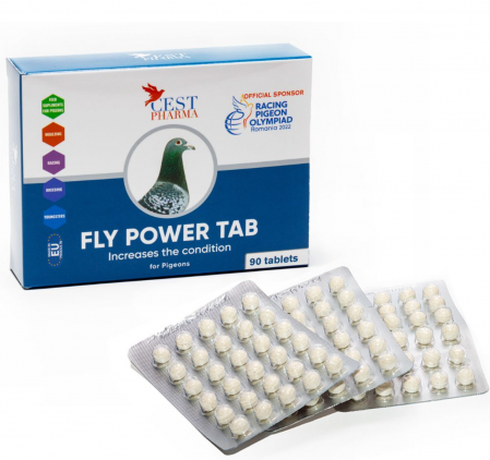 Intretinere - Fly Power 90 pastile CEST