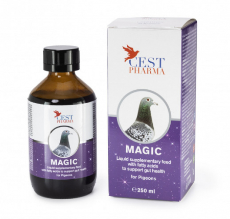 Intretinere - Magic CEST 250ml
