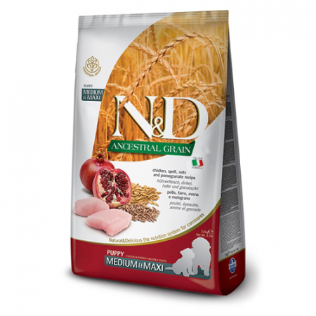 Caini - N&D Ancestral Grain Chicken Puppy Medium Maxi 12 kg
