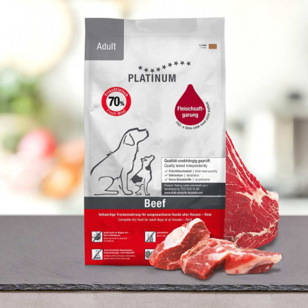 Platinum - Platinum Adult Beef & Potato