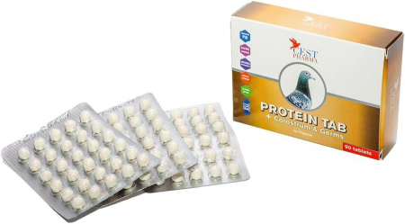 Electroliti si recuperatori - Protein tab CEST 90 pastile