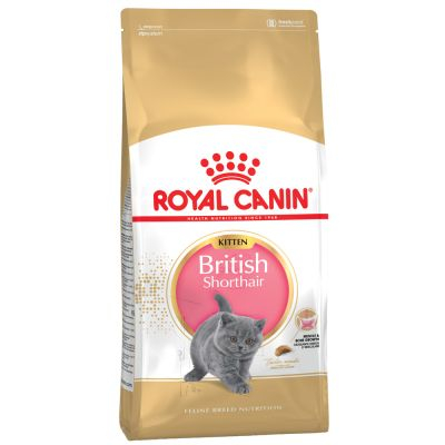 Royal Canin - Royal Canin British Shorthair Kitten 2 kg
