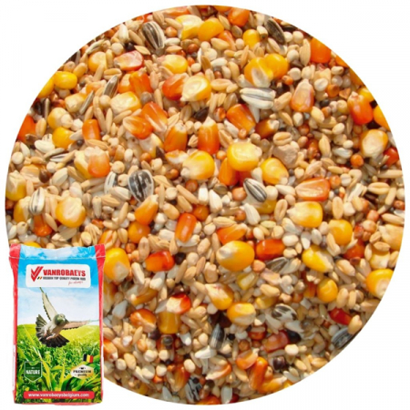 Vanrobaeys - Vanrobaeys Nr.29-Concurs Fara Mazare VB 20 Kg