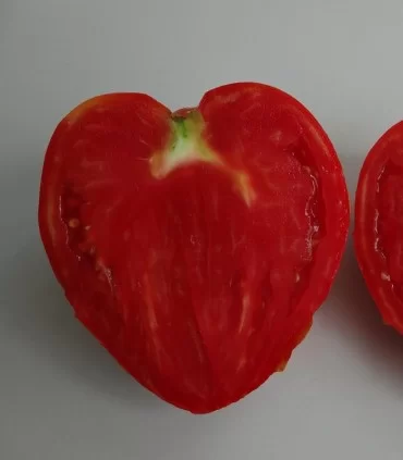 Andrada inima de bou, seminte de rosii [2]