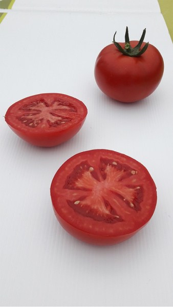 Beldine F1, 500 sem, seminte de tomate nedeterminate [3]