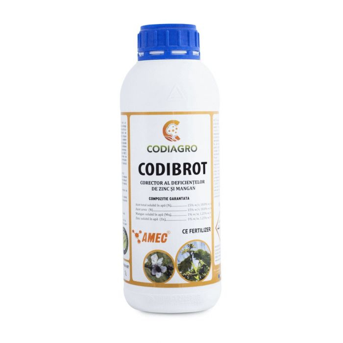 Codibrot [1]