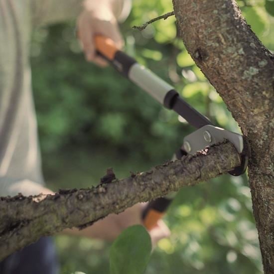 Foarfeca pas cu pas pentru ramuri groase Fiskars PowerGear X LX92, S [4]