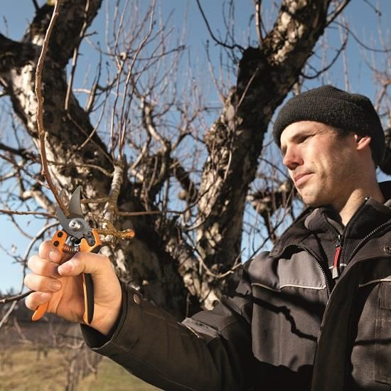 Foarfeca profesionala Fiskars PB-8 M [2]