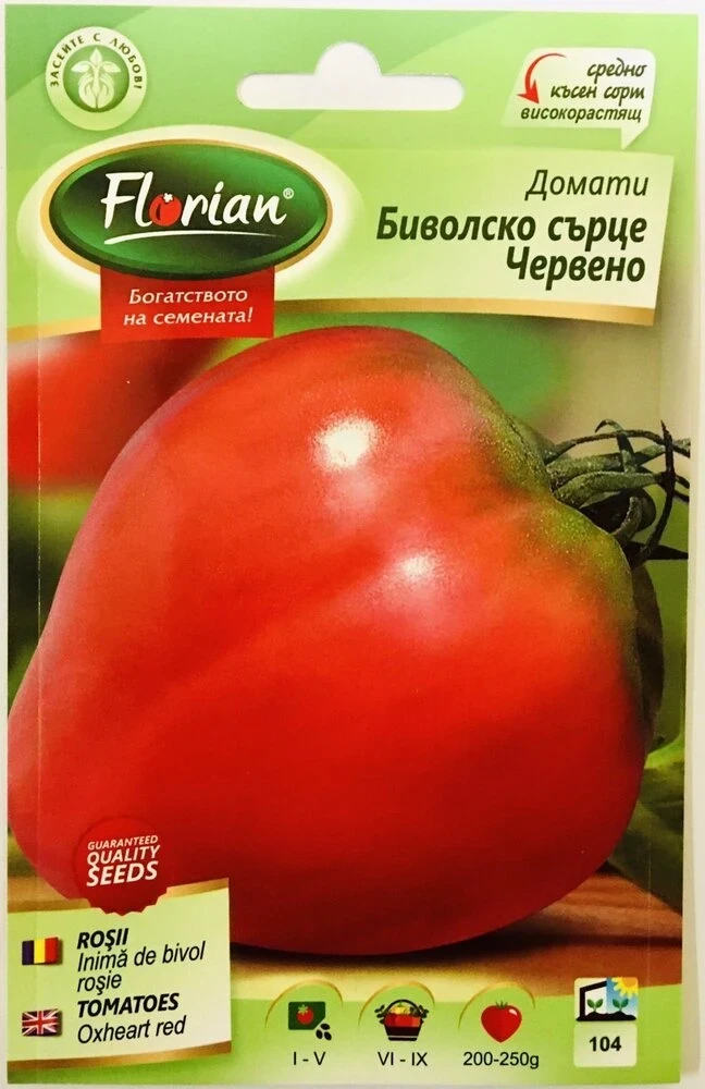 Inima de Bivol Rosu, seminte de tomate, Florian [1]