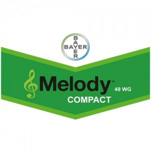 Melody Compact 49 WG [1]