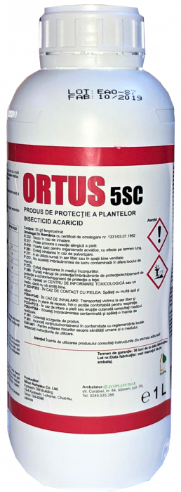 Ortus 5 SC [1]