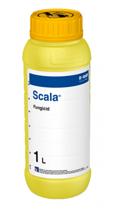 Scala [1]
