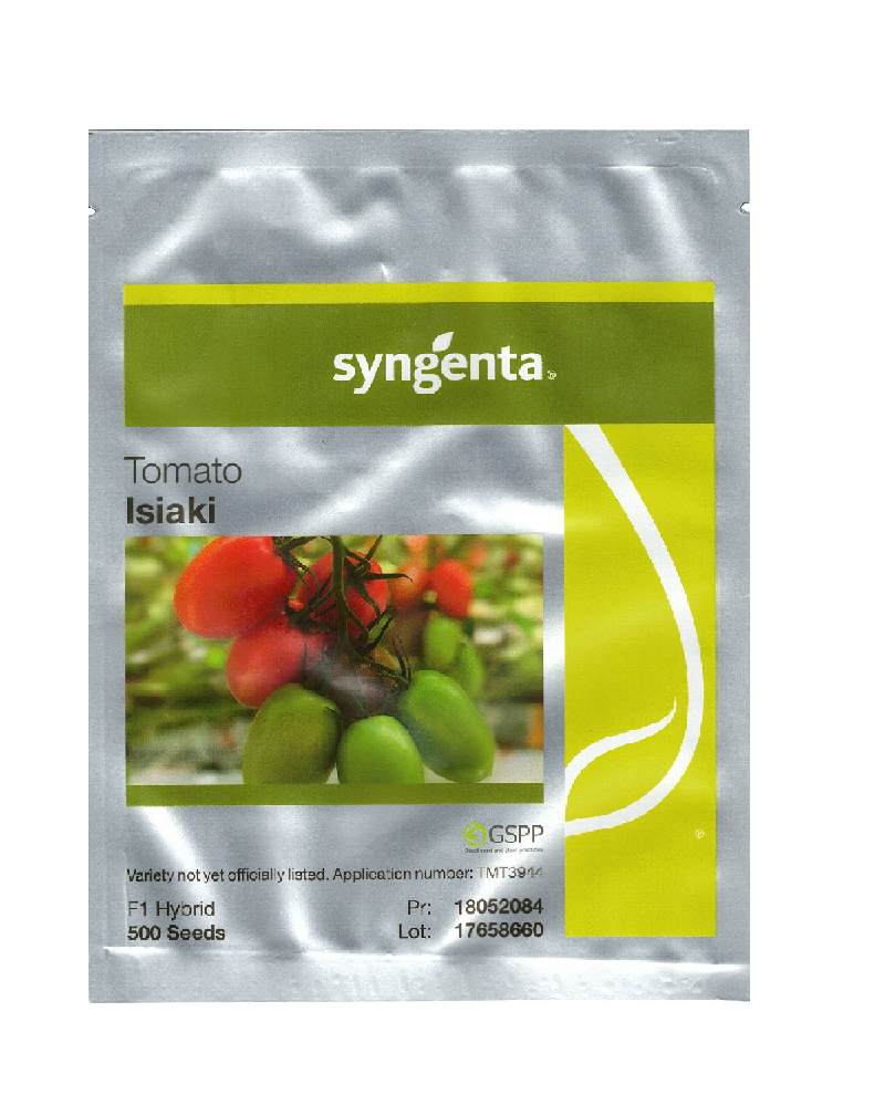 Seminte tomate Isiaki 500 sem, Syngenta [1]