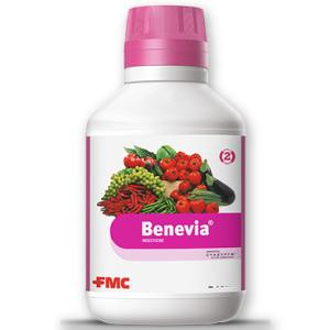 Benevia [0]