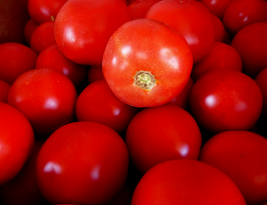 Seminte de Legume - Bobcat F1, 1000 sem, seminte de tomate determinate