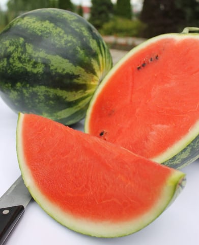 Burebista F1, seminte de pepene verde, Crimson Sweet, Hektar [1]