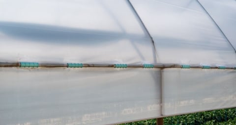 Clipsuri folie solar [4]