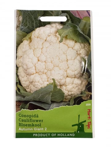 Seminte de conopida - Conopida Autumn Giant 2, Holland Farming, 0.6 g