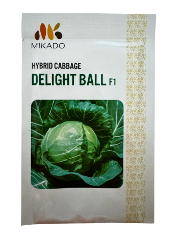 Seminte de varza - Delight Ball F1, seminte de varza timpurie