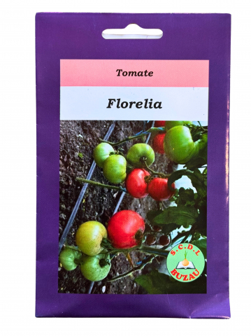 Seminte de tomate nedeterminate - Florelia tomate roz de Buzau 1g